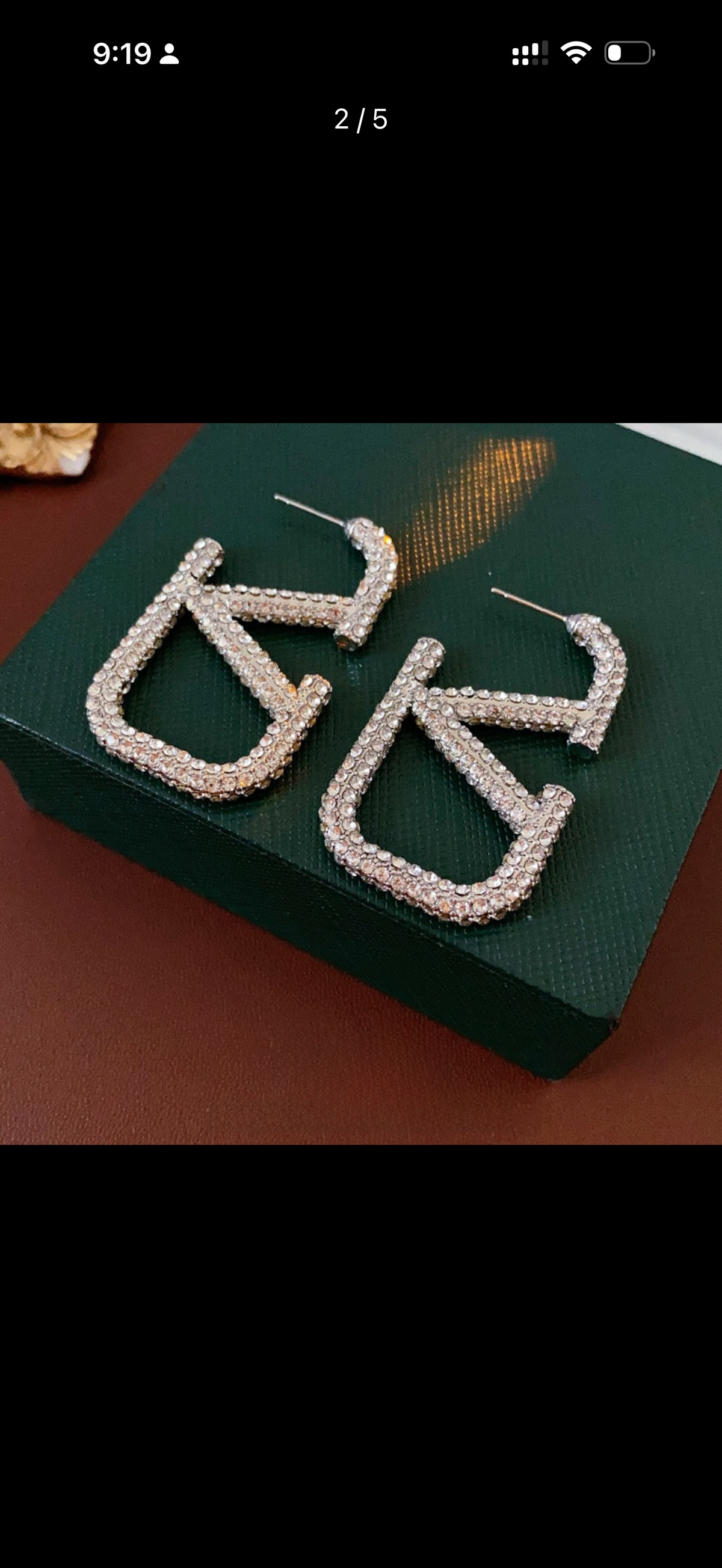 V Earrings