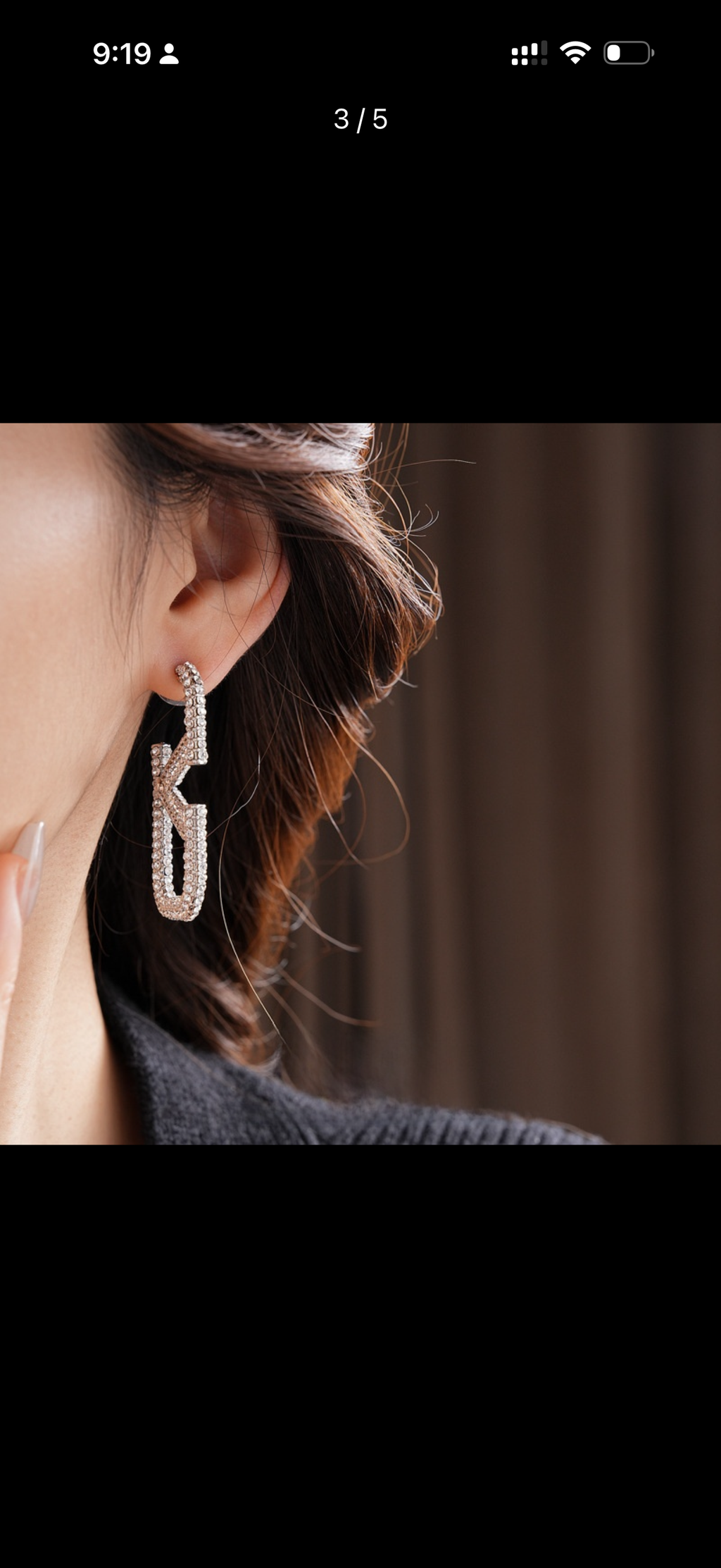 V Earrings
